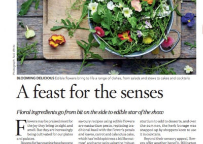 Edible Flowers. Waitrose Weekend Article on Edible Flowers and interview with Maddocks Farm Organics.